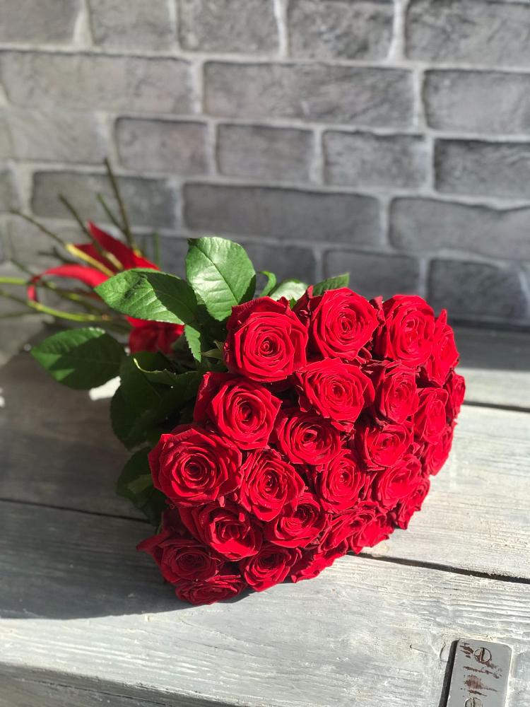 Букет Красные розы Фридом в Красноармейске Московской области
