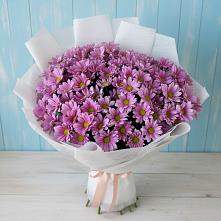 Букет цветов из:  Хризантемы в Красноармейске Московской области
