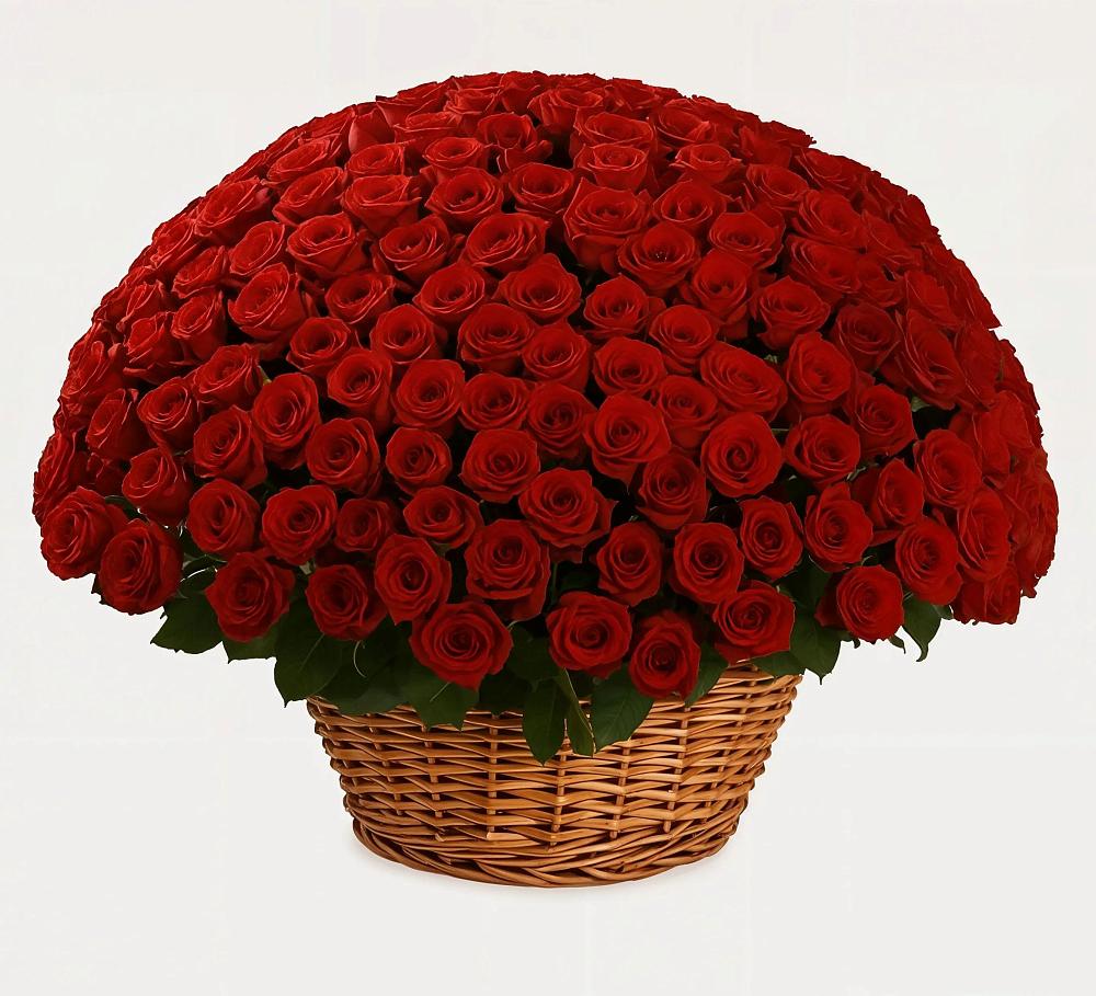 Премиум букет из: Розы в Красноармейске Московской области