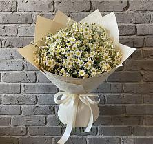 Букет цветов из:  Ромашки в Красноармейске Московской области